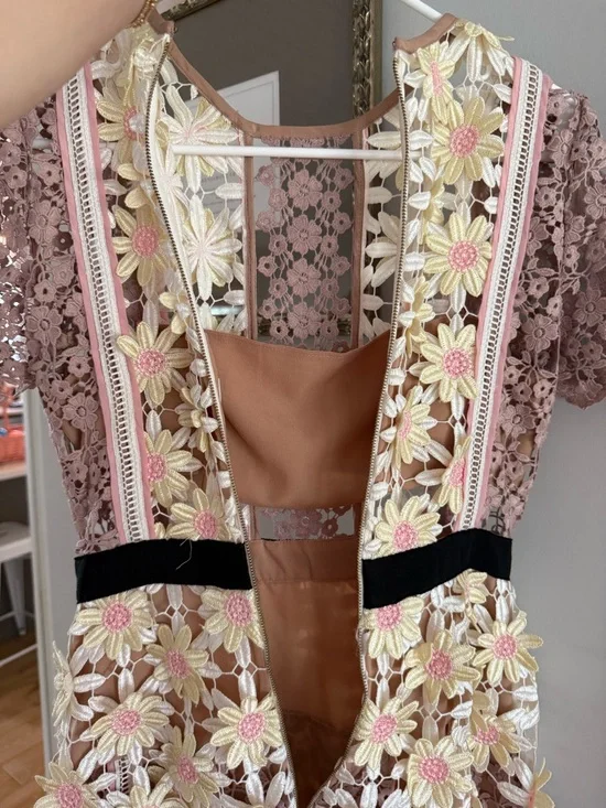 Self-Portrait Blush and Ivory Lace Appliqué Dress - Picture 8 of 10